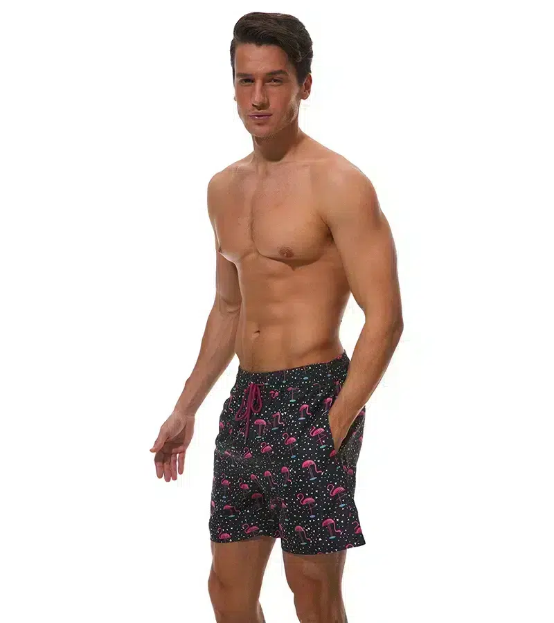 Maillot de Bain Homme Short Imprimé Flamant Maillot de Bain Homme Short Imprimé Flamant
